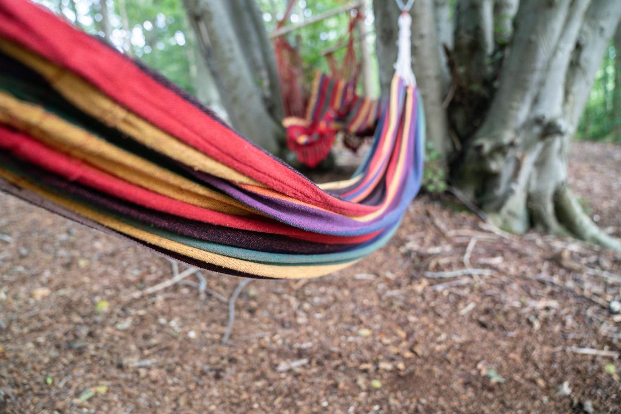 Gite 9 Personnes Fecamp Etretat Colleville Экстерьер фото